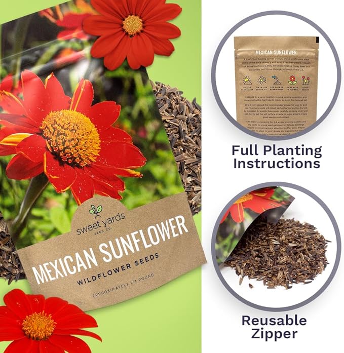 Mexican Sunflower Seeds – Bulk Quarter Pound Bag – Over 10,000 Open Pollinated Non-GMO Wildflower Seeds – Tithonia rotundifolia