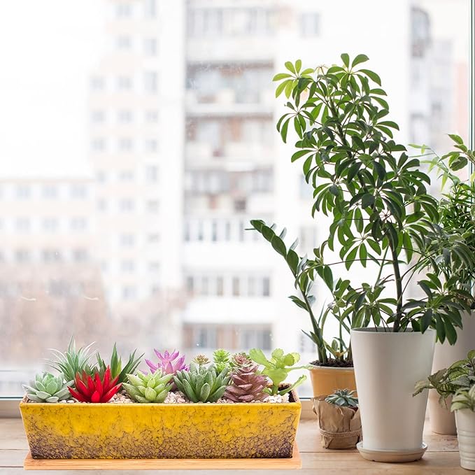 ARTKETTY Succulent Pots - 12.1 Inch Large Succulent Planters Pots with Drainage Tray, Long Rectangle Ceramic Pots for Indoor Cactus/Succulent Plants Shallow Bonsai Window Box for Home Garden Decor