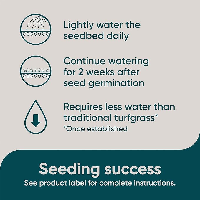 Scotts Pursue Sheep Fescue with Natural Seed, Seeding for Large Areas, 2 lbs.