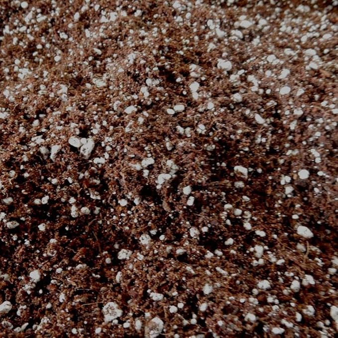 Roots Organics ROS Soilless Hydroponic Gardening Coco Fiber Media Mix Premium Growing Mix for Plants, 1.5 cu ft