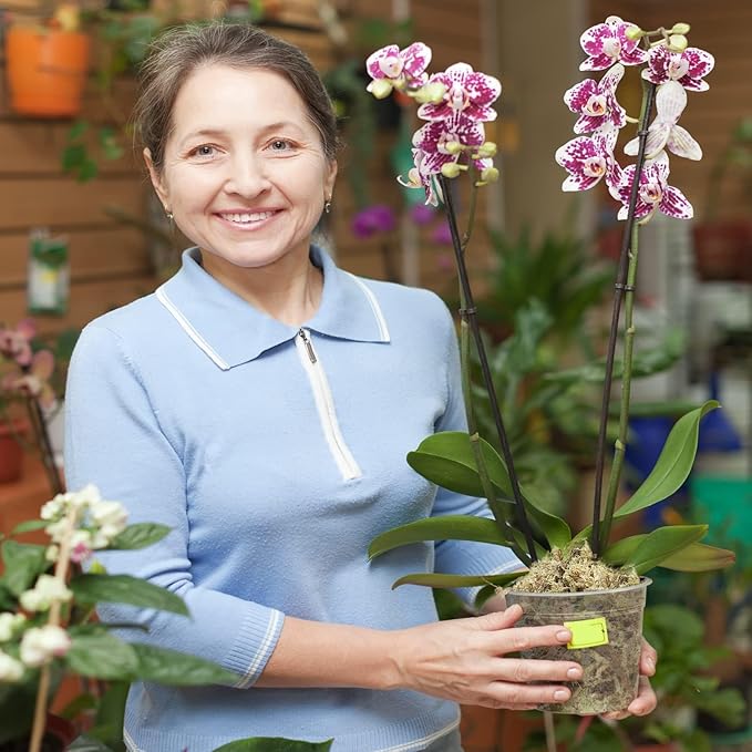 ZeeDix 226g Premium Sphagnum Moss for Plants, 12QT Natural Long Fibered Orchid Moss Sphagnum Peat Moss Bulk for Carnivorous,Orchid,Sarracenia,Succulent,Venus Fly Traps and Reptiles