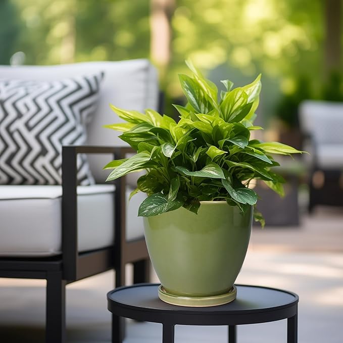 8 Inch Planter - Ceramic Plant Pot with Drainage Hole and Tray Round Planters Modern Flower Pot for Room Home Office Patio Porch Garden Decor Green