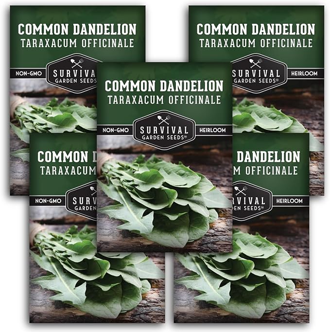 Survival Garden Seeds Common Dandelion Seed - 5 Packs with Instructions to Plant & Grow Nutritious Medicinal Plants & Leafy Greens in Your Home Herb or Vegetable Garden - Non-GMO Heirloom Variety