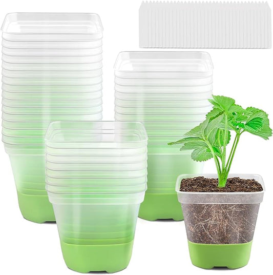 36 Packs 3 Inch Square Plastic Nursery Pots, Clear Plant Pot with Soft Silicone Base for Easy Transplant, Flower Pots with Drainage Holes, Reusable Seedling Pots Starter Pots