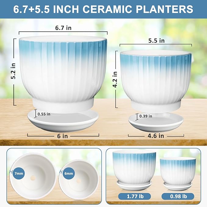 6.7 + 5.5 Inch Plant Pot, Ceramic Planter with Drainage and Saucer, Ceramic Pots for Plants, Indoor Plant pots,Ceramic Flower pots（Blue + White, Plants NOT Included）
