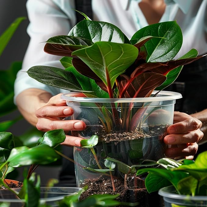 100 Pack 3 Inch Clear Nursery Pots Variety Pack, Clear Plastic Nursery Pot for Plants, Durable Seed Starting Pot with Drainage Holes, Flexible Transparent Pot