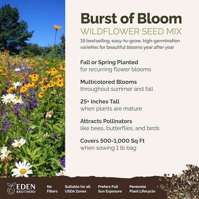 Eden Brothers Burst of Bloom Wildflower Mixed Seeds for Planting, 1 lb, 480,000+ Seeds with Cosmos, Black Eyed Susan | Attracts Pollinators, Plant in Spring or Fall, Zones 3, 4, 5, 6, 7, 8, 9, 10