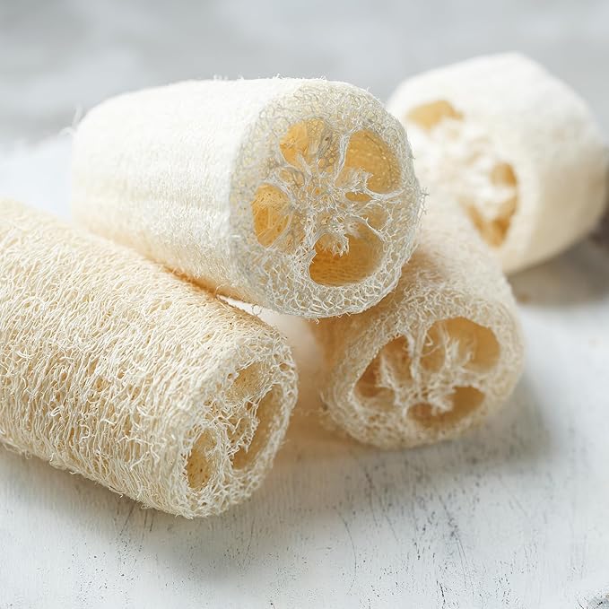 Luffa Seeds, Heirloom Loofah Seeds Packet for Planting Outdoor, Non-GMO Vegetable Seeds Garden Kit, Growing Supply for Bath Sponge for Fresh Veggie Food, Easy to Storage