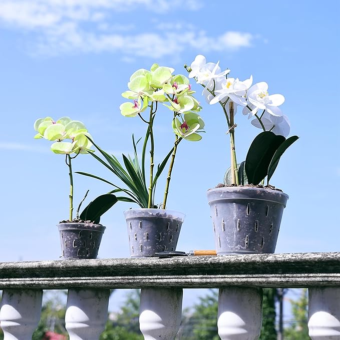 YIKUSH Orchid Pots with Holes 7 inch 10Pack Clear Orchid Pot Plastic Plant Pot Flower Pots Outdoor and Indoor Use