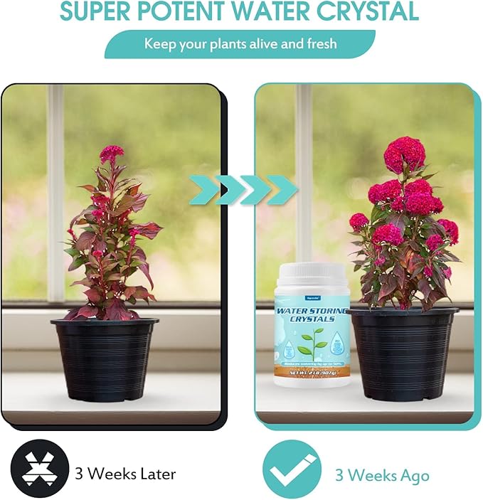 2LB Water Storing Crystals for Plants with Spoon, Water Gel Solves Plant Over-Watering and Drought Problems, Keeps The Soil Moist, Small Water Storing Polymer Crystals Powder for Plants - by Oycevila