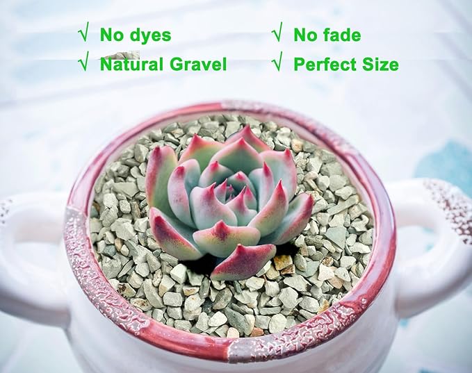 2.4lb Succulents and Cactus Green Zeolite, Décor & Additive Rocks, Natural Decorative Gravel for Bonsai, Fairy Gardening, DIY Projects, Vases Fillers, Terrarium