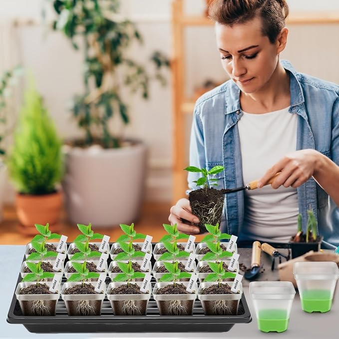 Clear Nursery Pots for Plants,10 Packs Seed Starting Pots 3.1 inch Plastic Plant Pot Seedling Pots with Drainage Holes Plant Nursery Pots with Silicone Base Seed Starting Pot (No Lids 10)