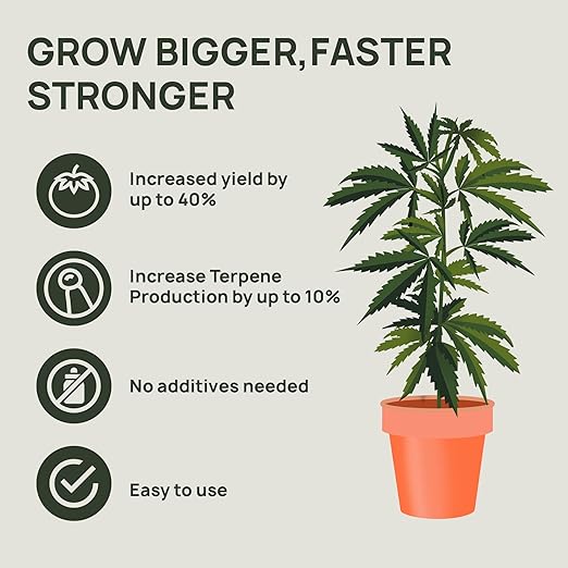 Strive Fertilizer Starter Kit Combo - Veg + Bloom General Hydroponic Nutrients - Indoor, Outdoor and Soil Growing Plant Food - Booster for Vegetables, Succulents, Flowers (Trial Combo 300 Grams)