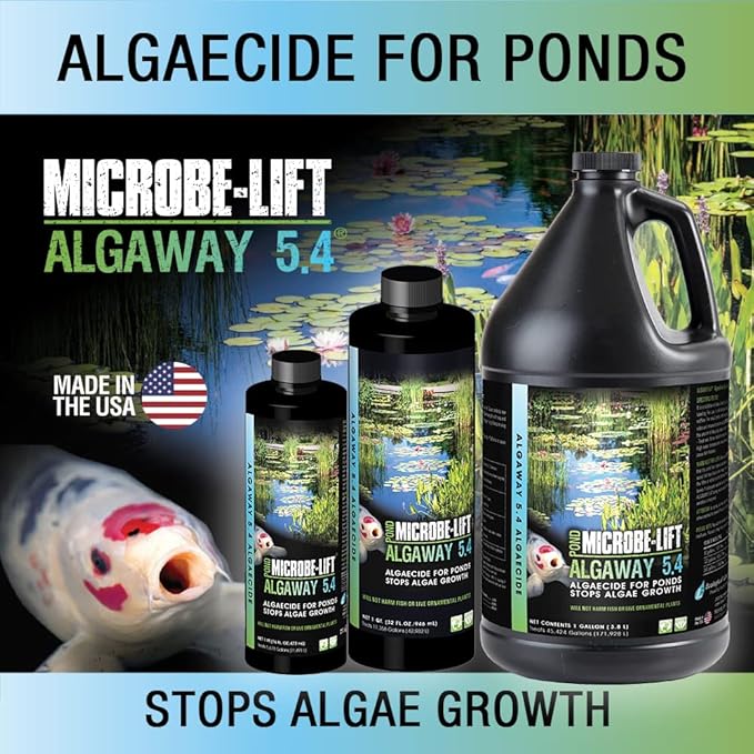 MICROBE-LIFT ALGAGAL Algaway 5.4 Algae Control Treatment for Ponds and Water Gardens, Safe for Koi Fish, Goldfish, Plants, and Decorations, 1 Gallon
