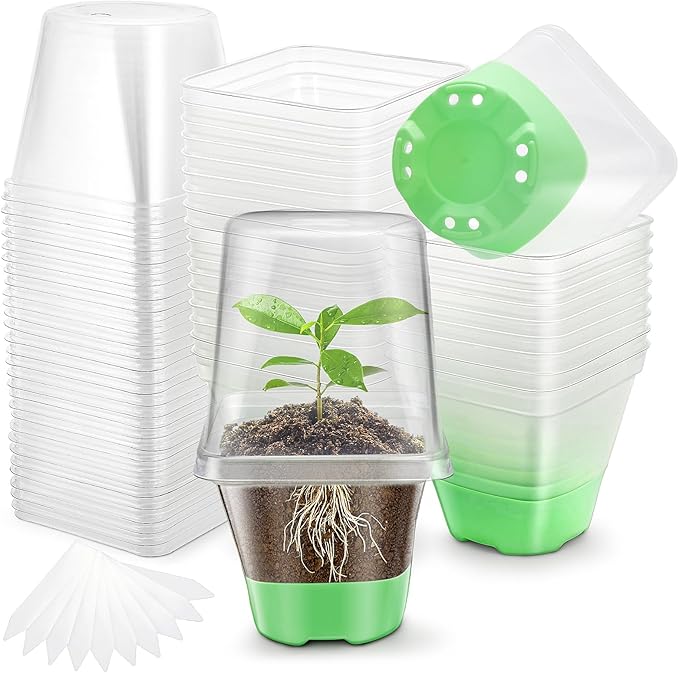 Clear Nursery Pots for Plants,30 Packs Seed Starting Pots 3.1 inch Plastic Plant Pot Seedling Pots with Drainage Holes Plant Nursery Pots with Silicone Base Seed Starting Pot