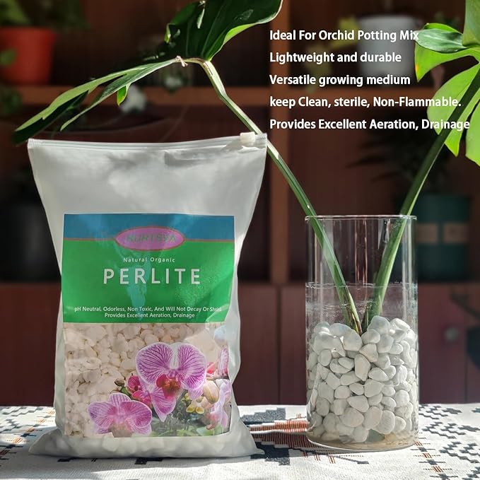 Natural 1-2CM Hard Chunky Perlite 2QT for Plants Horticultural Coarse Organic Pearlite Bulk Potting Mix Garden Soil Amendment for Enhanced Drainage and Ventilation for Orchid, Dendrobium, Araceae