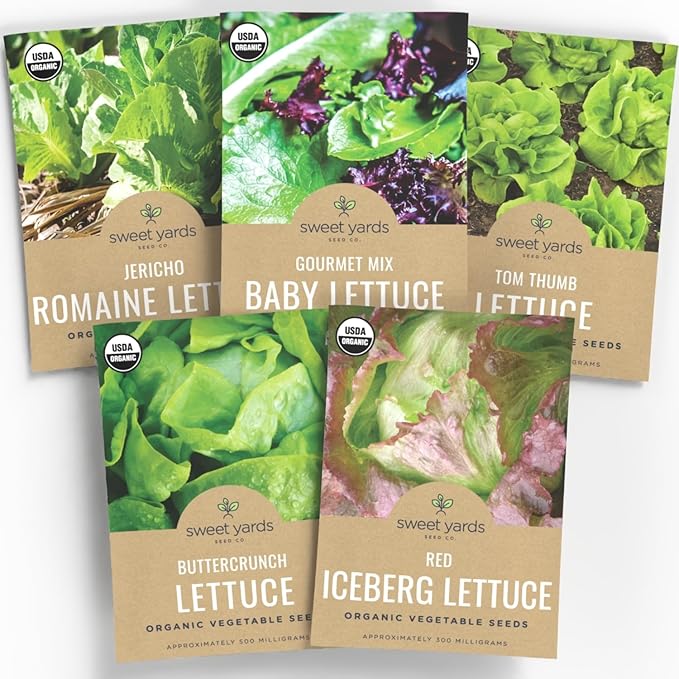 Organic Lettuce & Greens Seeds Variety Pack - 5 Individual Packs - 2025 Season - Buttercrunch, Gourmet Mix, Romaine, Tom Thumb & Iceberg. for Indoor & Outdoor Planting (Non-GMO, Certified Organic)