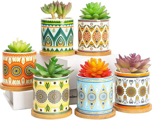 Succulent Plant Pots - 3.1 inch Ceramic Succulent Planter -Cylinder Flower Pots for Cactus with Drainage Hole and Bamboo Tray, 6 Pack (Multicolor1)