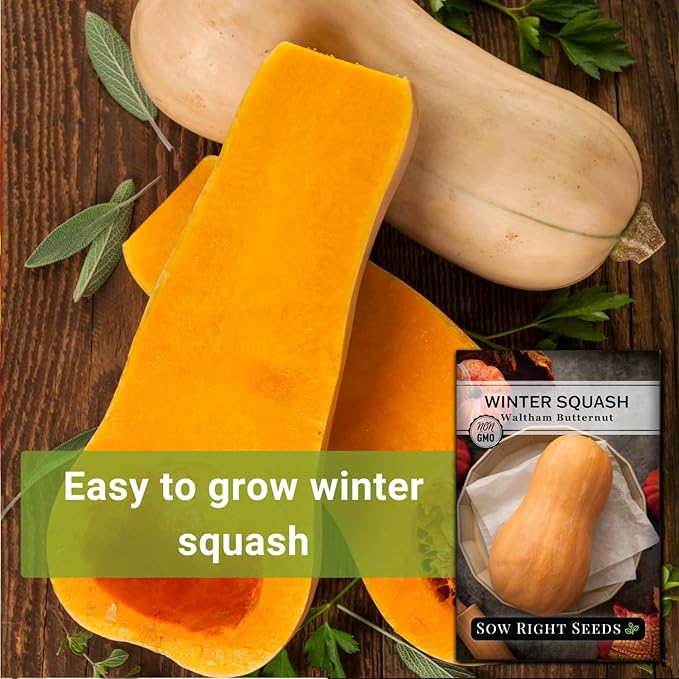 Sow Right Seeds - Waltham Butternut Squash Seeds for Planting - Non-GMO Heirloom Packet with Instructions to Plant a Home Vegetable Garden - Sweet Winter Squash, Perfect to Grow in Cooler Months (1)