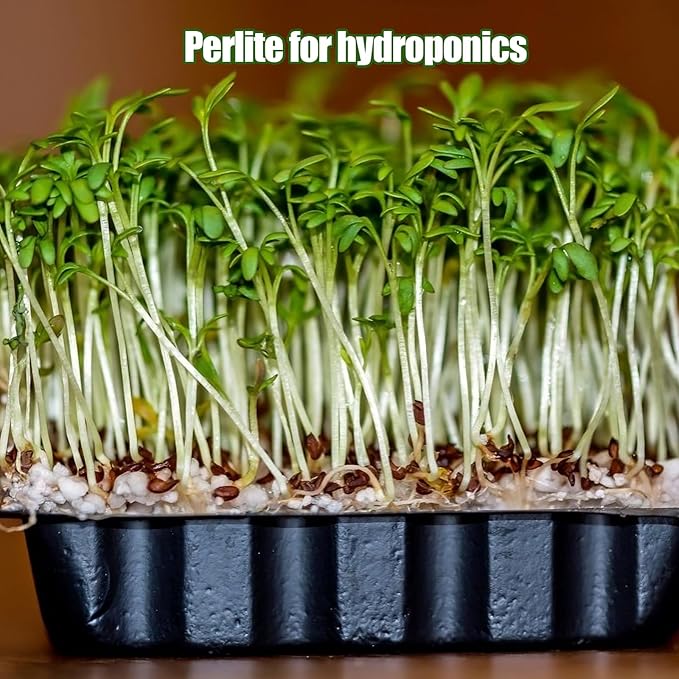 Horticultural Perlite for Plants 4qt, Natural Horticultural Soil Additive Conditioner Mix to Improve Soil Aeration & Dranage for Houseplant