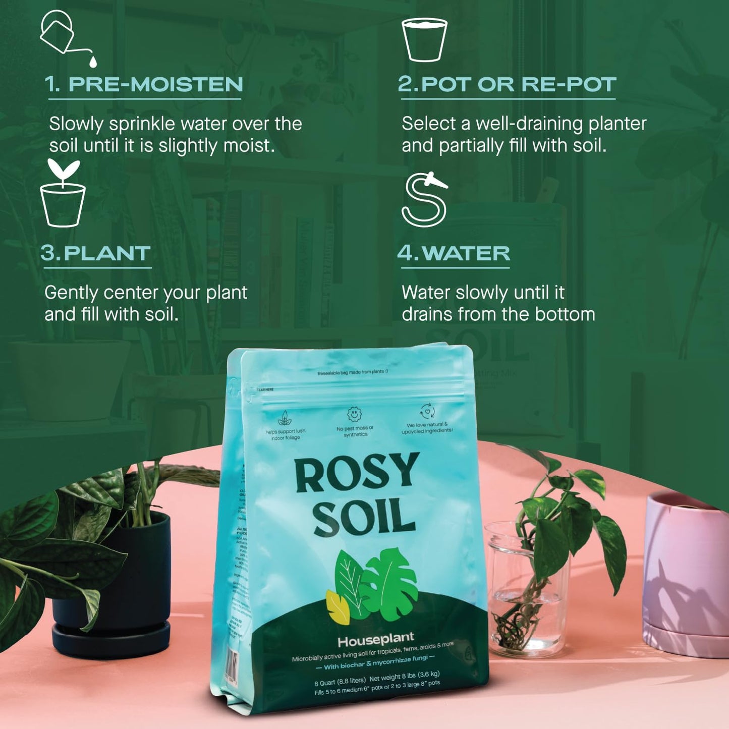 Rosy Soil Cactus and Succulent Potting Soil Mix (4 qts) + Indoor Potting Soil (8 qts) - Peat Free House Plant Soil - Potting Soil Mix for Indoor Plants