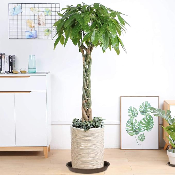 TITE Plant Saucer 10 inch, Heavy Large Planter Durable Thicker Plastic Plant Trays for Indoors and Outdoor, Plant Saucer Drip Trays,Brown(10" - 3 Pack)