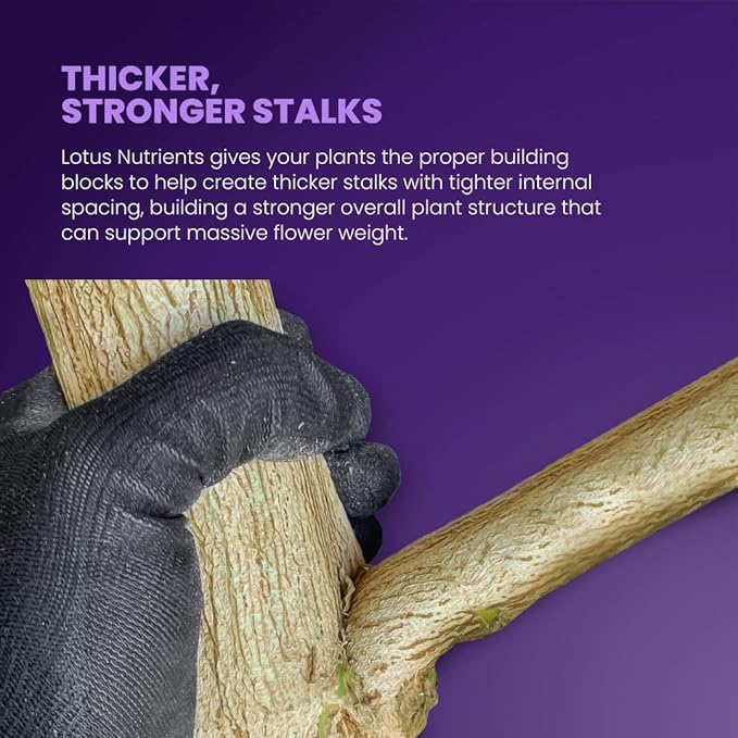 256oz Complete Veg Nutrient for Fast Healthy Growth and Massive Roots - Naturally Derived Water Soluble Premium Powdered Nutrient Fertilizer for Soil, Hydroponic, and Coco Coir Indoor and Outdoor