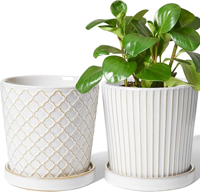 LE TAUCI Ceramic Plant Pots, 5.4 Inch Pots for Indoor Plants, Planters with Drainage Hole and Saucer, Flower Pots for Succulent, Snake Plants and Cactus, Set of 2, Reactive Glaze White