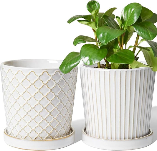 LE TAUCI Ceramic Plant Pots, 5.4 Inch Pots for Indoor Plants, Planters with Drainage Hole and Saucer, Flower Pots for Succulent, Snake Plants and Cactus, Set of 2, Reactive Glaze White