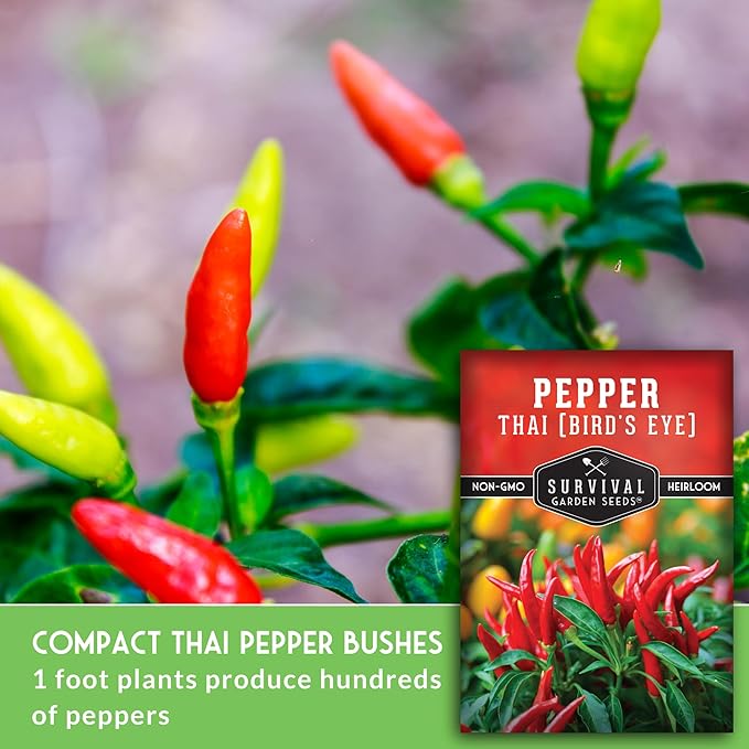 Survival Garden Seeds - Thai Pepper Seed for Planting - 3 Packets with Instructions to Plant & Grow Spicy Hot Bird's Eye Chili Peppers in Your Home Vegetable Garden - Non-GMO Heirloom Variety