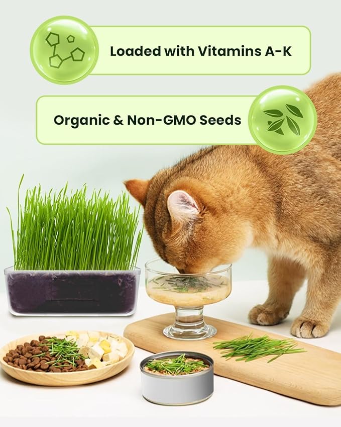 1 Pound Non-GMO Organic Wheat Cat Grass Seeds - Individual Packets for Easy Planting and Storage - Heirloom Oat Barley Blend for Indoor Cats