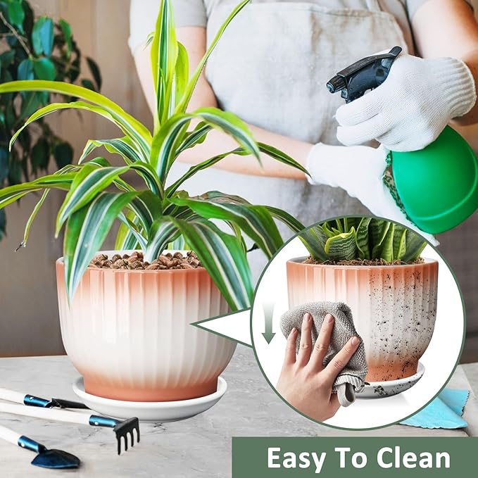 8 Inch Plant Pot, Ceramic Planter with Drainage and Saucer, Ceramic Pots for Plants, Indoor Plant pots,Ceramic Flower pots(Orange+ White, Plants NOT Included)