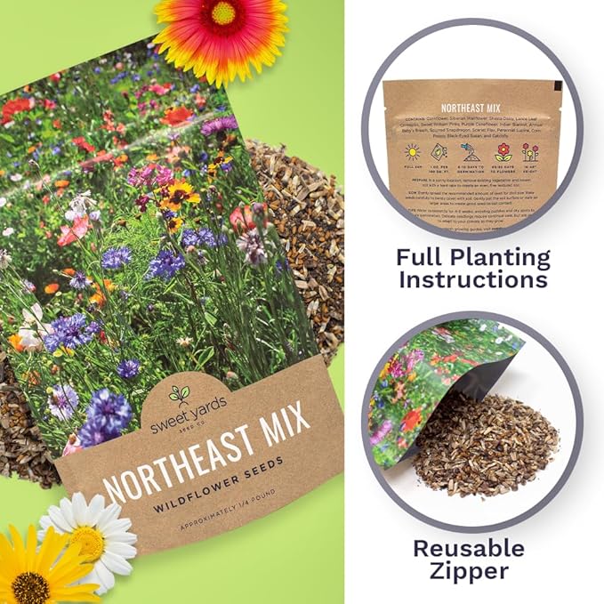 Northeast Wildflower Seeds - Bulk 1/4 Pound Bag - Over 30,000 Native Seeds - Open Pollinated and Non GMO Varieties for New York, Virginia, Pennsylvania, Maine and More!