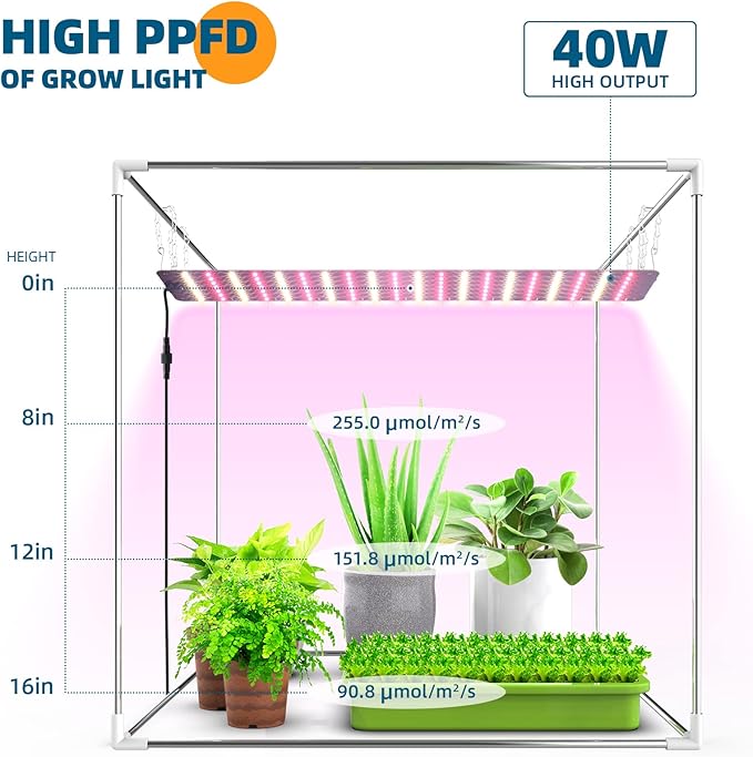 Barrina Indoor Greenhouse with Grow Light, with 40W Seed Starting LED Indoor Plant Light, Portable Mini Greenhouse with Timer for Seed Starter Tray, Seedling, Sprouting, Microgreens, 23x23x23IN