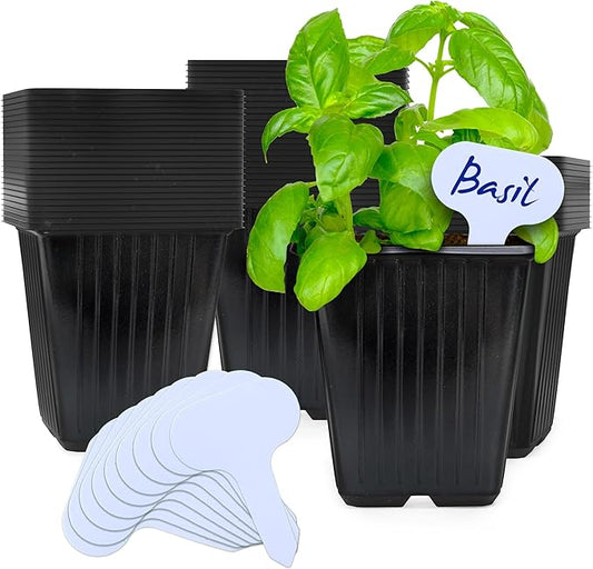 CARPATHEN 60Pack Square Nursery Pots - 3.8 Inch Reinforced Nursery Pots for Plants with Drainage - Reusable Seed Starter Pots for Flowers, Vegetables - Seedling Pots Kit with 10 Plastic Reusable Tags