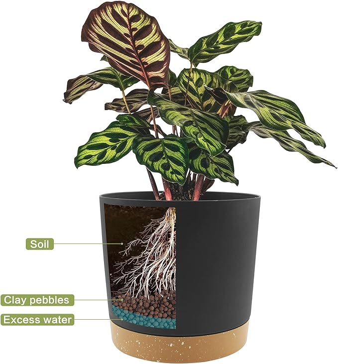 QCQHDU 8 inch Plant Pot, 2 Pack Planters for Indoor Plants with Drainage Holes & Saucer, Outdoor Flower Pots Home Garden Modern Decor