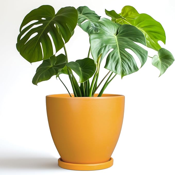 Ceramic Plant Pot - 8 Inch Planter for Indoor Outdoor Plants, Round Flower Pots with Drainage and Tray, Home Office Decor, Orange