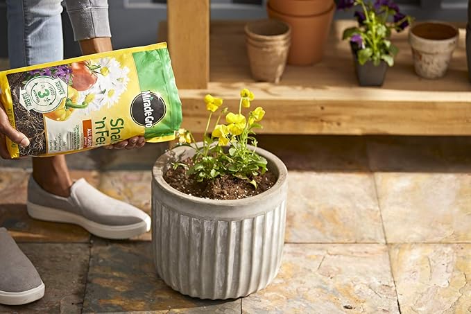 Miracle-Gro Shake 'N Feed All Purpose Plant Food Refill Bags, Plant Fertilizer, 8 lbs. (4-Pack)