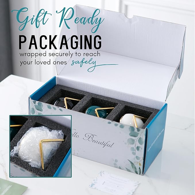 Aunt Gifts, Gifts for Aunt from Niece & Nephew, Best Aunt Ever Gifts, Birthday Gifts for Aunt, Auntie Gifts from Niece Nephew, Great Aunt Gifts, Gardening Gifts for Aunt Unique, 3 Succulent Pots Only