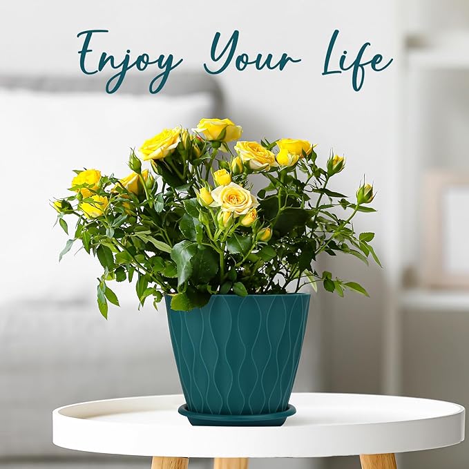 6 inch Plant Pots, 5 Pack Flower Pots Outdoor Indoor, Planters with Drainage Hole and Tray Saucer.