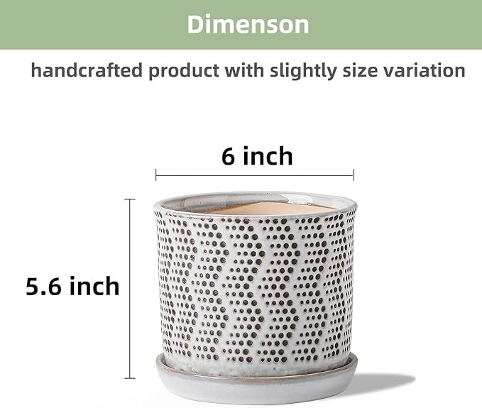 6 Inch Plant Pot: Ceramic Planter with Drainage Hole & Saucer for Indoor Outdoor Plants - Flowerpot with Bonded Tray for Home Office -Mixed Spots Debossed