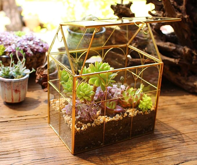 Glass Geometric Plant Terrarium,Succulent & Air Planter for Home Garden Office Decoration (Gold House)