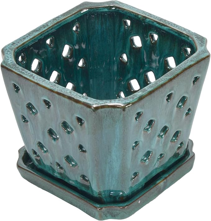 W&W Orchid Pot with Holes and Saucer for Repotting, Green Mix,7 Inches