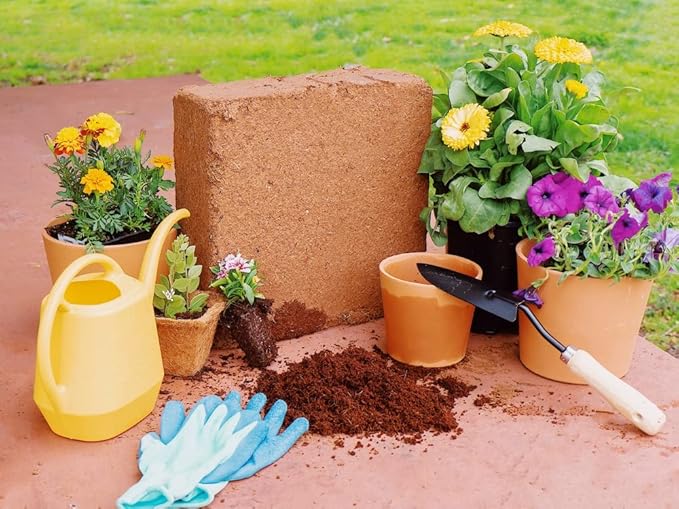Coco Coir for Plants 2-Pack Envelor 2.6 Cu. Ft. Compressed Coconut Coir Bricks 10 lb. Organic Coconut Coir Bulk Low EC pH Balanced Natural Coco Peat for Indoor and Outdoor Gardening Potting Soil