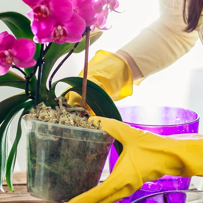 Halatool Sphagnum Moss for Potted Plants, Natural Swamp Moss for Orchid Succulent Carnivorous, Dried Long Fiber Sphagnum Moss for Moss Pole, 100% Natural Moss Bulk (10oz, 14QT, 284G)