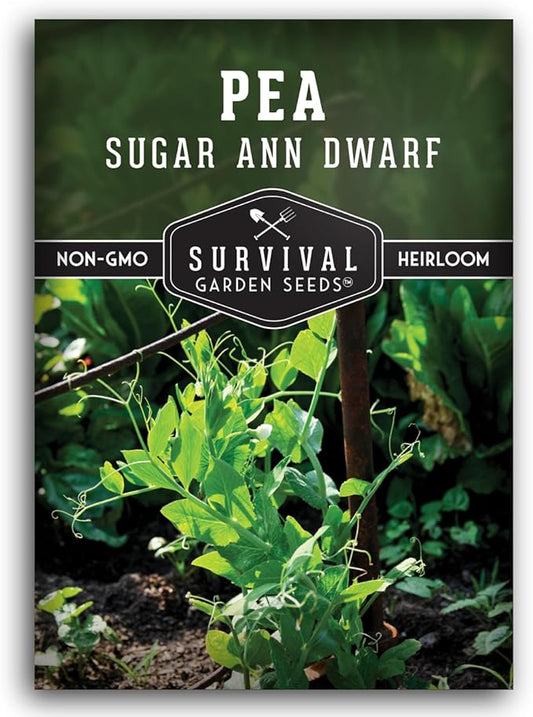 Sugar Ann Dwarf Pea Seed for Planting - 1 Packet with Instructions to Plant and Grow Sweet Snap Peas in Your Home Vegetable Garden - Non-GMO Heirloom Variety - Survival Garden Seeds