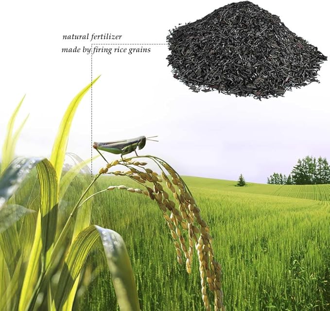 Horticultural Charcoal, Rice Husk Natural Activated Charcoal for Plants Indoor Biochar Soil Amendment Organic for Terrariums - 2.2 lbs