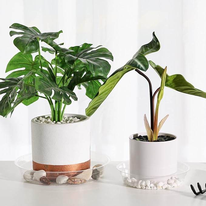 TRUEDAYS 15 Pack(6 inch/8inch/10inch) Clear Plant Saucers Flower Pot Tray Excellent for Indoor & Outdoor Plants