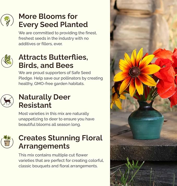 Eden Brothers Southeast Wildflower Mixed Seeds for Planting, 1/4 lb, 120,000+ Seeds with Cornflower, Blanket Flower | Attracts Pollinators, Plant in Spring or Fall, Zones 3, 4, 5, 6, 7, 8, 9, 10
