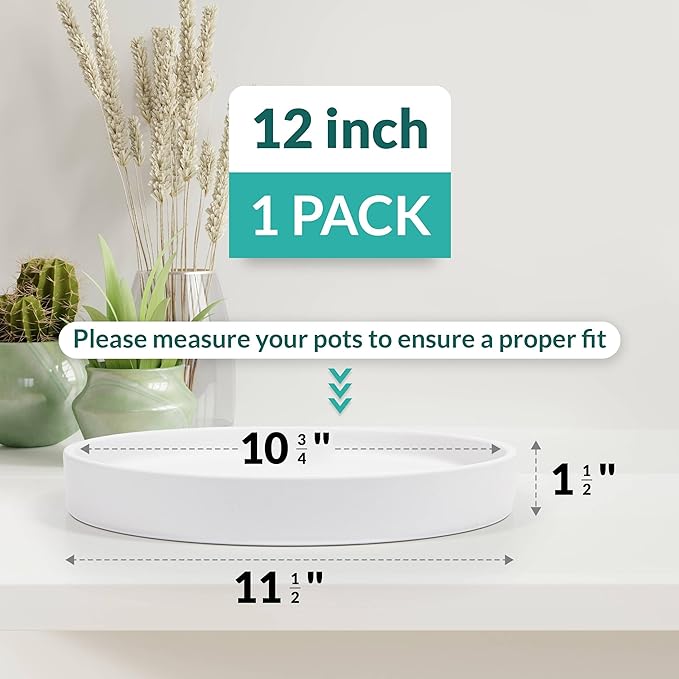 Willowy Matte White Ceramic Pot Saucer - Drainage Tray for 9, 10, 11, 12 Inch Planters + More Sizes